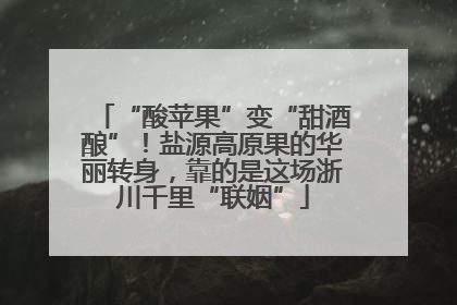 “酸苹果”变“甜酒酿”！盐源高原果的华丽转身，靠的是这场浙川千里“联姻”