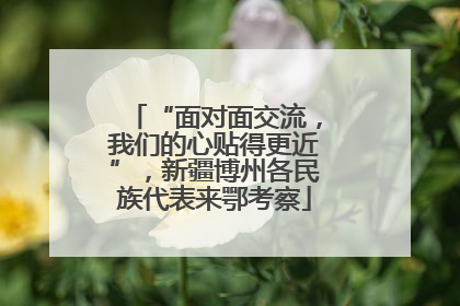 “面对面交流，我们的心贴得更近”，新疆博州各民族代表来鄂考察