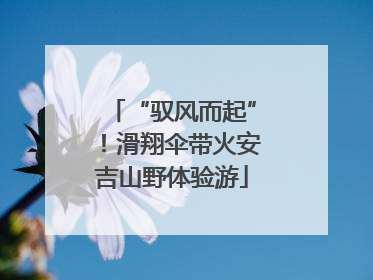 “驭风而起”！滑翔伞带火安吉山野体验游