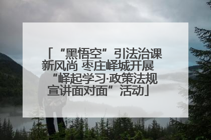 “黑悟空”引法治课新风尚 枣庄峄城开展“峄起学习·政策法规宣讲面对面”活动