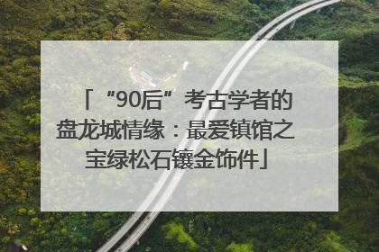 “90后”考古学者的盘龙城情缘：最爱镇馆之宝绿松石镶金饰件