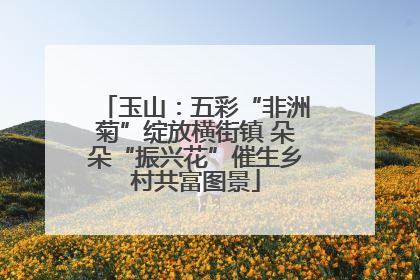 玉山：五彩“非洲菊”绽放横街镇 朵朵“振兴花”催生乡村共富图景