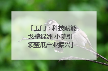 玉门：科技赋能戈壁绿洲 小院引领蜜瓜产业振兴