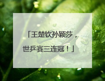 王楚钦孙颖莎，世乒赛三连冠！