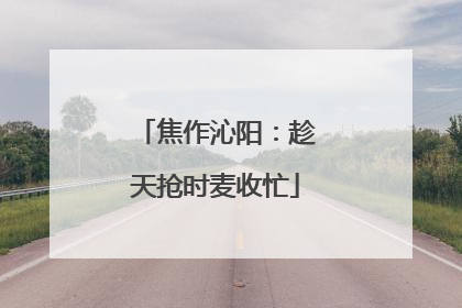 焦作沁阳：趁天抢时麦收忙