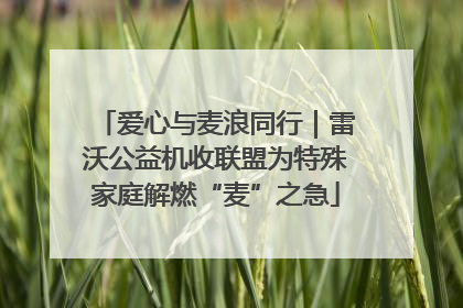 爱心与麦浪同行｜雷沃公益机收联盟为特殊家庭解燃“麦”之急