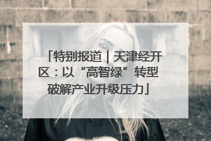 特别报道｜天津经开区：以“高智绿”转型破解产业升级压力