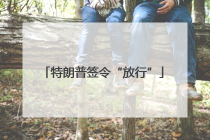 特朗普签令“放行”