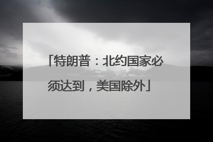 特朗普：北约国家必须达到，美国除外
