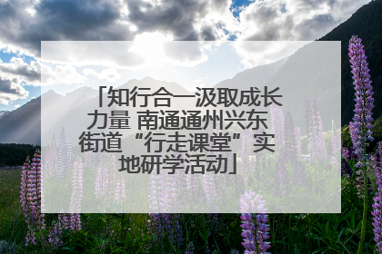 知行合一汲取成长力量 南通通州兴东街道“行走课堂”实地研学活动