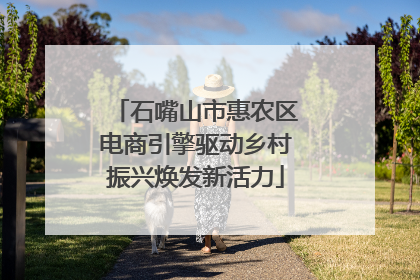石嘴山市惠农区电商引擎驱动乡村振兴焕发新活力