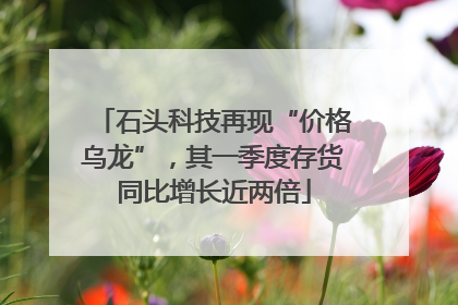 石头科技再现“价格乌龙”，其一季度存货同比增长近两倍