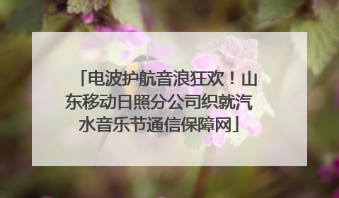 电波护航音浪狂欢！山东移动日照分公司织就汽水音乐节通信保障网