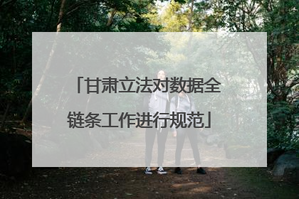 甘肃立法对数据全链条工作进行规范