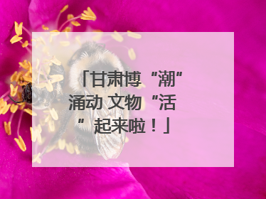 甘肃博“潮”涌动 文物“活”起来啦！