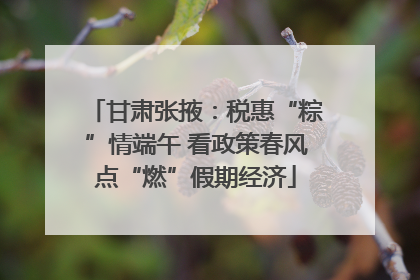 甘肃张掖：税惠“粽”情端午 看政策春风点“燃”假期经济