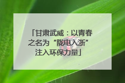 甘肃武威：以青春之名为“陇电入浙”注入环保力量