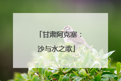 甘肃阿克塞：沙与水之歌