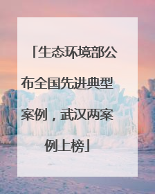 生态环境部公布全国先进典型案例，武汉两案例上榜