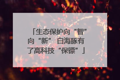生态保护向“智”向“新” 白海豚有了高科技“保镖”