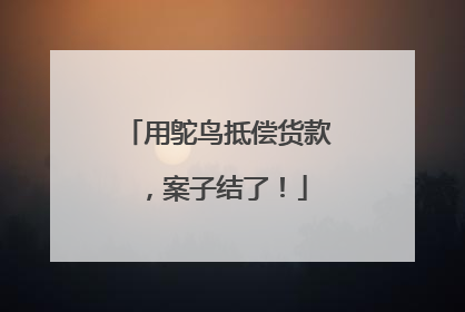 用鸵鸟抵偿货款，案子结了！