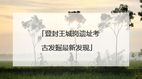 登封王城岗遗址考古发掘最新发现