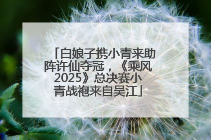 白娘子携小青来助阵许仙夺冠，《乘风2025》总决赛小青战袍来自吴江