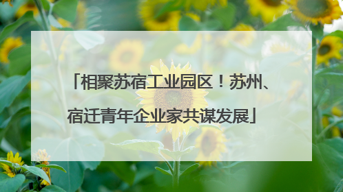 相聚苏宿工业园区！苏州、宿迁青年企业家共谋发展