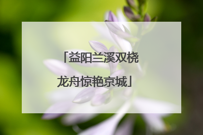 益阳兰溪双桡龙舟惊艳京城
