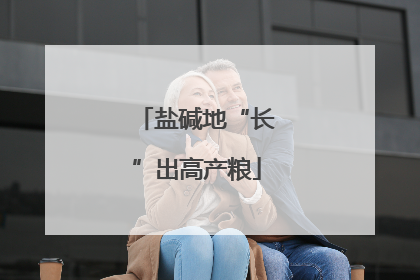 盐碱地“长”出高产粮
