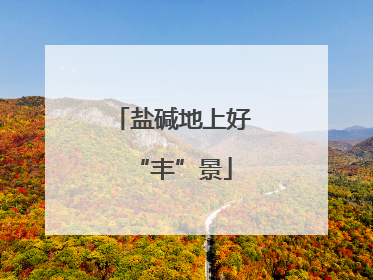 盐碱地上好“丰”景