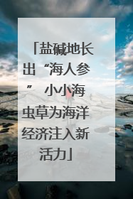 盐碱地长出“海人参” 小小海虫草为海洋经济注入新活力