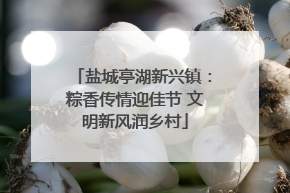 盐城亭湖新兴镇：粽香传情迎佳节 文明新风润乡村
