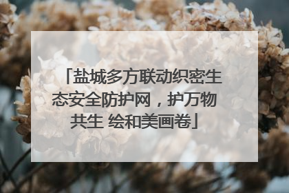 盐城多方联动织密生态安全防护网，护万物共生 绘和美画卷