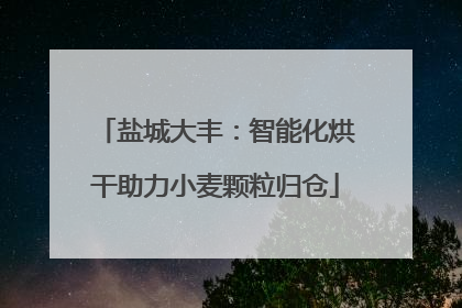 盐城大丰：智能化烘干助力小麦颗粒归仓