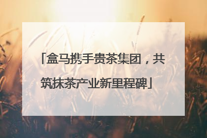 盒马携手贵茶集团，共筑抹茶产业新里程碑