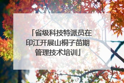 省级科技特派员在印江开展山桐子苗期管理技术培训