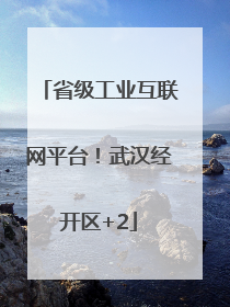 省级工业互联网平台！武汉经开区+2