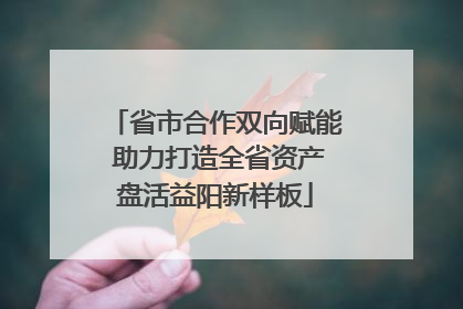 省市合作双向赋能 助力打造全省资产盘活益阳新样板