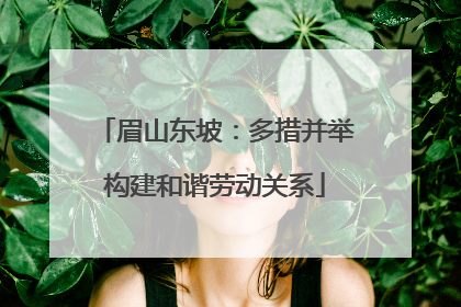 眉山东坡：多措并举构建和谐劳动关系
