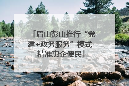 眉山彭山推行“党建+政务服务”模式 精准惠企便民