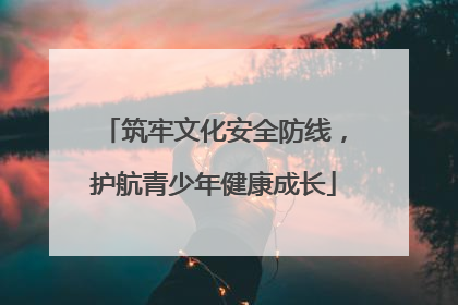 筑牢文化安全防线，护航青少年健康成长