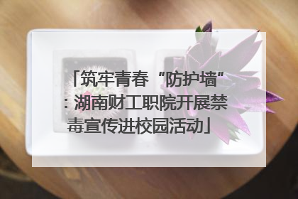 筑牢青春“防护墙”：湖南财工职院开展禁毒宣传进校园活动
