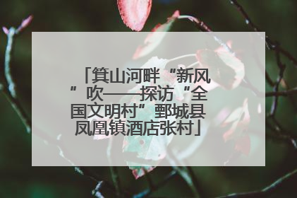 箕山河畔“新风”吹——探访“全国文明村”鄄城县凤凰镇酒店张村