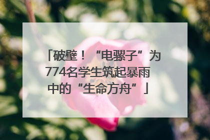 破壁！“电骡子”为774名学生筑起暴雨中的“生命方舟”