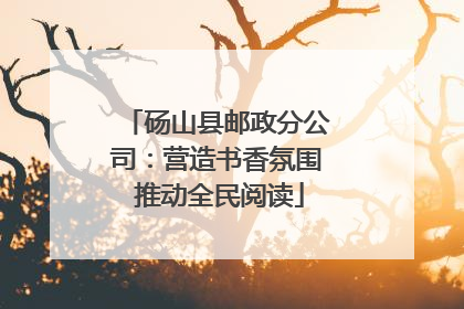 砀山县邮政分公司：营造书香氛围 推动全民阅读