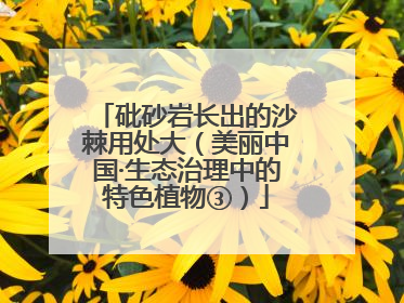 砒砂岩长出的沙棘用处大（美丽中国·生态治理中的特色植物③）