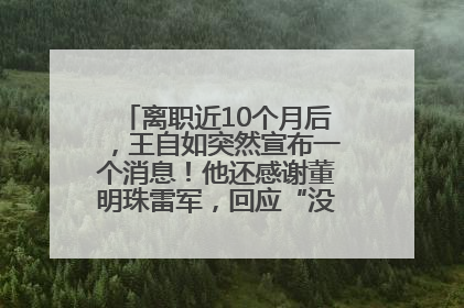 离职近10个月后，王自如突然宣布一个消息！他还感谢董明珠雷军，回应“没看过格力工资条”：真的不那么重要！