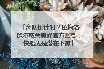 离队倒计时？拉梅洛·鲍尔取关黄蜂官方账号，快船或是潜在下家