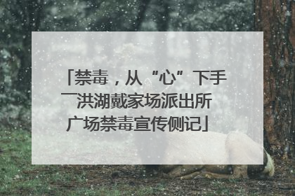 禁毒，从“心”下手――洪湖戴家场派出所广场禁毒宣传侧记